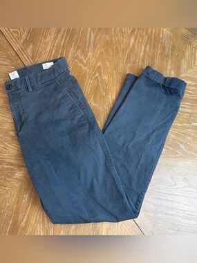 GAP Men’s Navy Blue Chino Pants